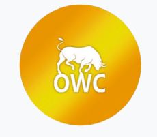 Oduwacoin.JPG