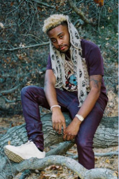 Kyree Hollis.PNG