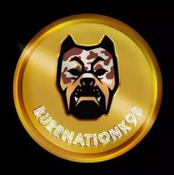 BURRNATIONK9S.JPG