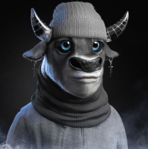 Crypto Bull Society.JPG