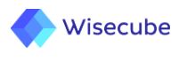 Wisecube.JPG