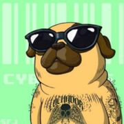 Cyberpugs NFT2.JPG