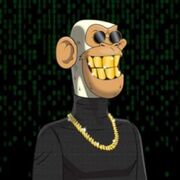 Merry Apes Club NFT 2.JPG