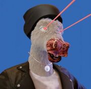 High Horse House2.JPG
