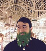Beard Baubles3.JPG