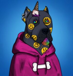 The Dogo NFT.JPG