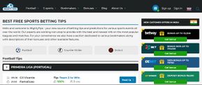 MightTips Website.JPG