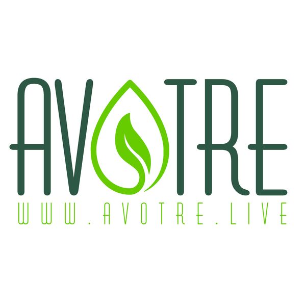 File:Avotre Logo 1000px-01.jpg