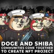 Doge Army12.JPG