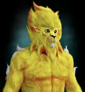 LAWLESS LIONS4.JPG