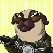 Cyberpugs NFT3.JPG