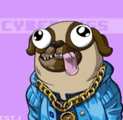 Cyberpugs NFT1.JPG