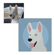 Forever Pets4.JPG