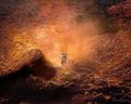 Thumbnail for version as of 06:52, 20 March 2020