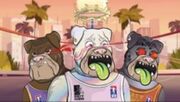 Dirty Dawgs nft16.JPG