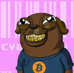 Cyberpugs NFT.JPG