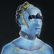 MetaVolution12.JPG