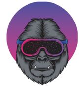 APE-X3.JPG