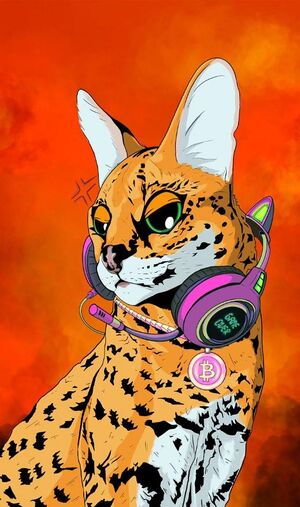 Stryker The Cat NFT.JPG