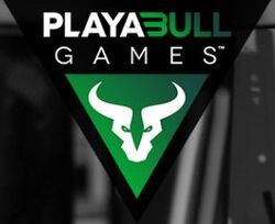 PLAYA3ULL GAMES.JPG