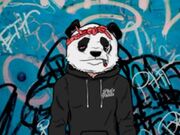 Phat Pandaz2.JPG