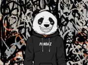 Phat Pandaz1.JPG