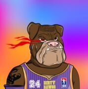 Dirty Dawgs nft12.JPG