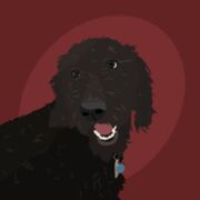Forever Pets1.JPG