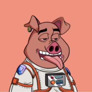 Psytrance Pig NFT.JPG