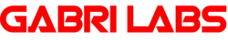 HI RES GABRI LOGO.png